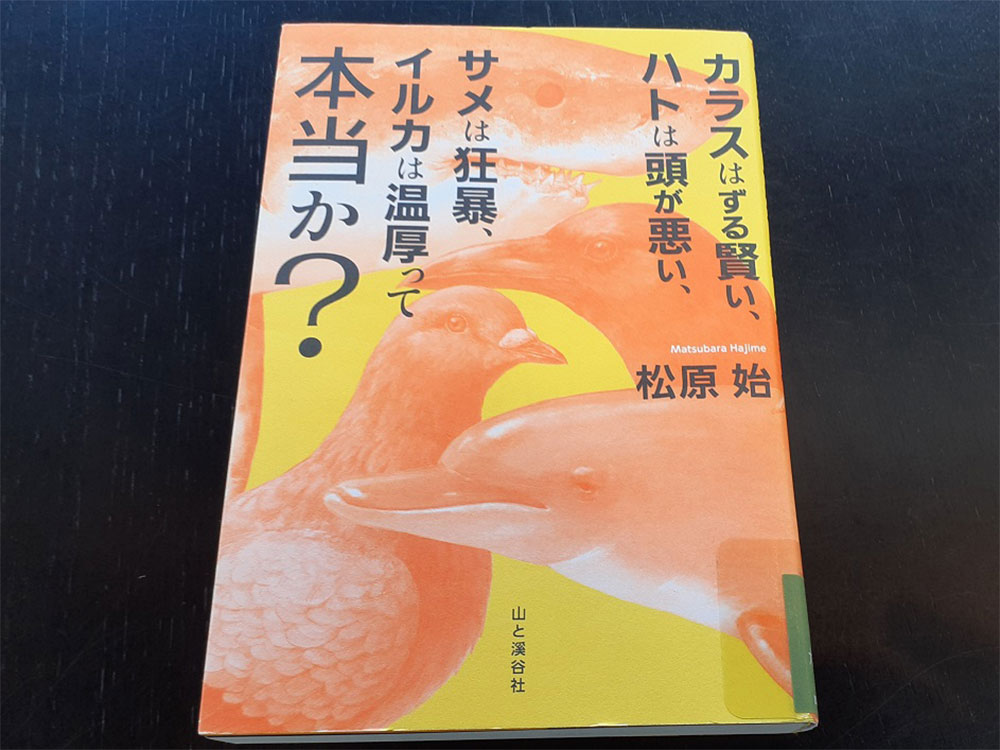 カラスはずる賢い、ハトは頭が悪い、サメは狂暴、イルカは温厚って本当か？
