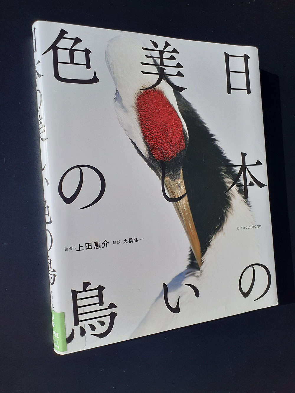 建築紅花青鳥圖　三省堂　貴重豪華本　美品 五彩花鳥文瓶 | 景徳鎮窯 | 収蔵品詳細 | 作品を知る | 東京富士美術館